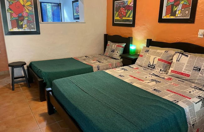 Alemão Cabanas - Foto 8