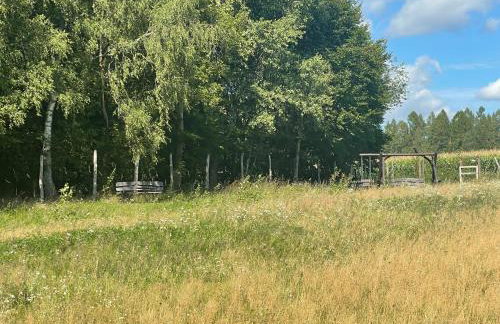 DoWielina - domki wśród natury - Foto 40