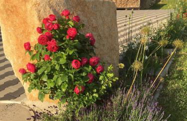 Bauzinger Alm - Foto 25