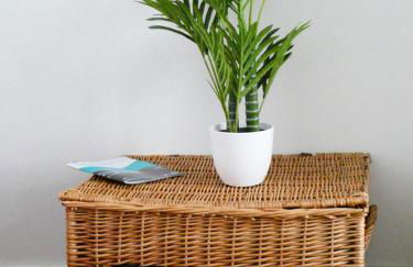 Fern Villa - Foto 14