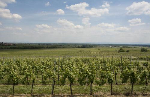 La Casa Di Tina - Foto 39