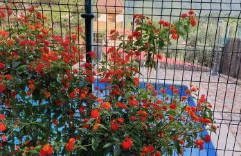 Casas Rurales Cerro Lobo - Foto 45