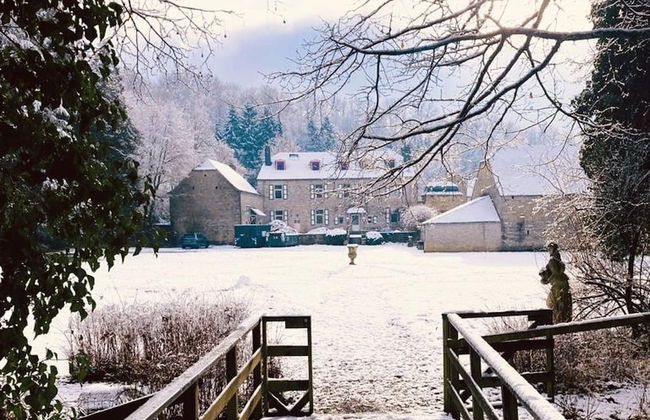 Castle in Ferrieres With Pond Garden - Photo 30