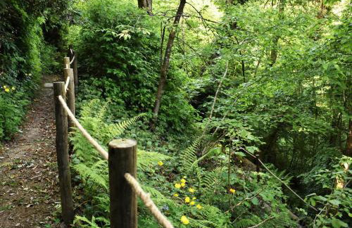 Kingfisher - Foto 32