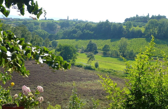 Panoramic Villa in Tuscany Rolling Hill, Well Connected, Everyday new Journey to - Foto 18