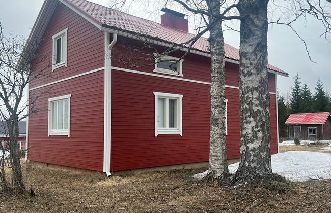 Koivumäki - Photo 11