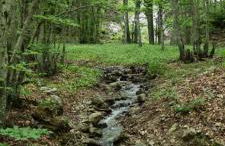 I Rifugi D'Abruzzo Una Valle di Luce - Foto 67