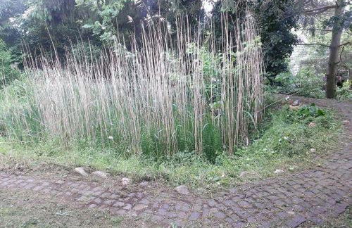 Ferienwohnungen Willrich - Ferienwohnung 3 - Foto 18