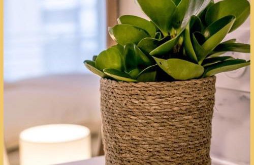 Studio Magnolia le Claudel I Thonon-les-Bains - Foto 12