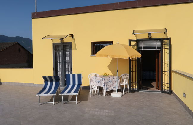 Lavanda (AEG160) - Foto 5