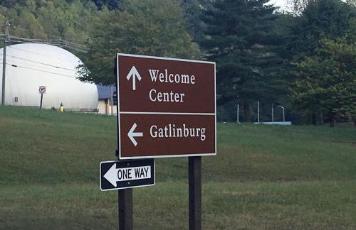 Bears Among Us - Foto 31