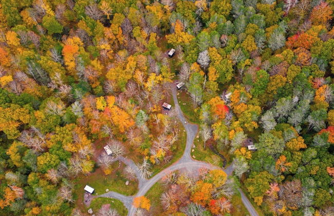 Postcard Cabins Western Catskills, Outdoor Collection by Marriott Bonvoy - Foto 3