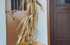 Point of view 1 - Photo 13