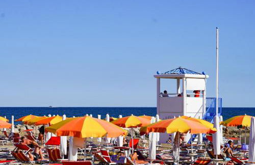 Euro Junior - Foto 25