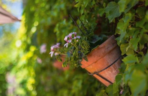 Gîte du Rouard - Foto 39