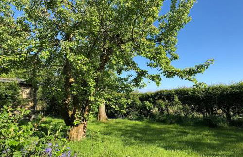 Deichkieker - charmantes Ferienhaus mit großem Garten in Alleinlage nahe der Nordsee - Foto 37
