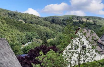 YALET Ferienhaus 2 appartementen vlakbij Willingen - Foto 36