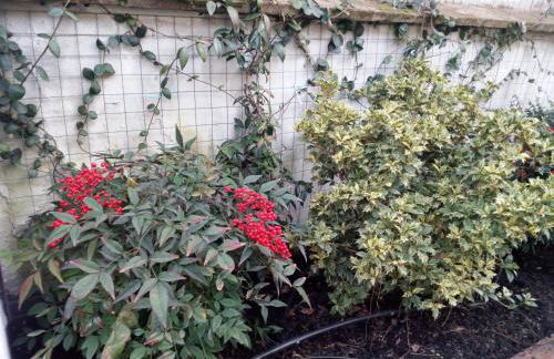 B&B Palazzo Bianchi - Photo 25