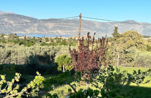 Stone Villa Maria - Photo 45