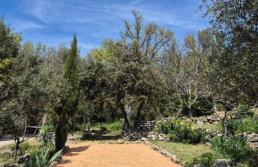 Bastide Cigaline - Foto 50