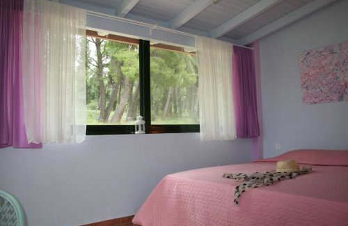 Terry Land Village - Foto 40