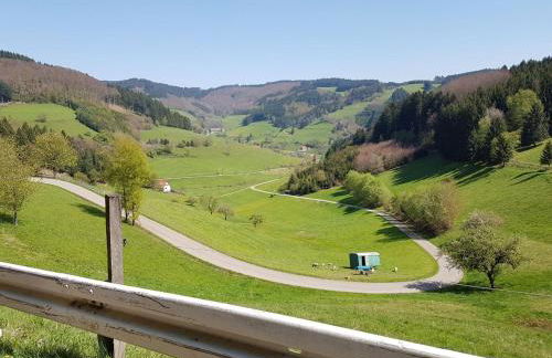 Am Siegelbächle Berg blickt - Foto 24