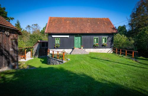 Šajnska Hiža, autentična goranska kuća u prirodi - Foto 3