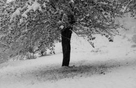 Gites L'épilobe - Foto 22