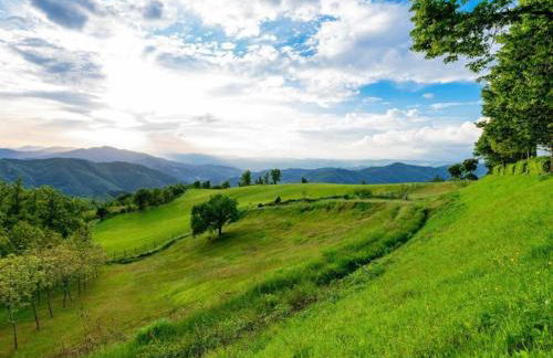 Historic Tuscan Villa - Foto 36