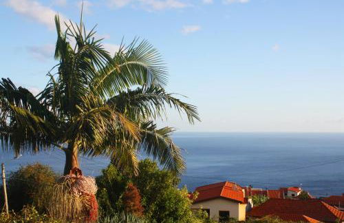 Lugar dos Louros 2 - Foto 28