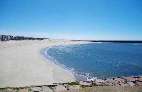 Bird’s Home - Foto 66