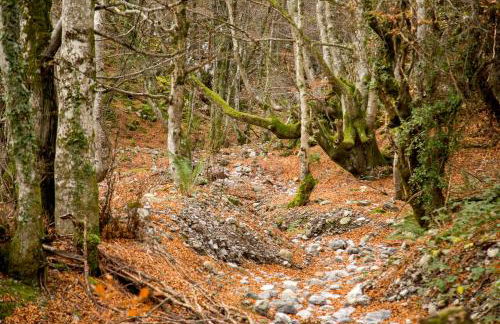 Casa Ronderos - Las Casas del Oso - Foto 30