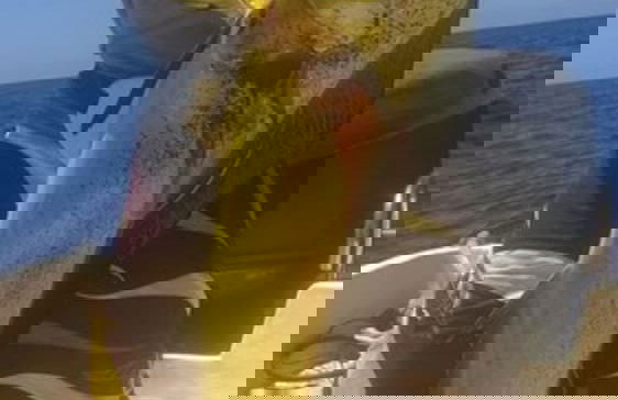 Taveuni Palms - Photo 48