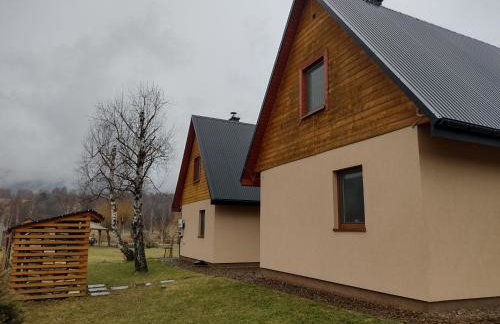 Domki Brzozówka w Bieszczadach - Foto 72