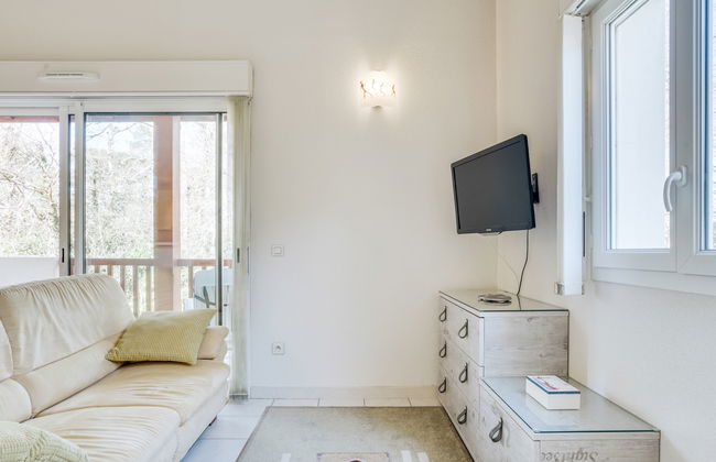 Les écureuils - Foto 7