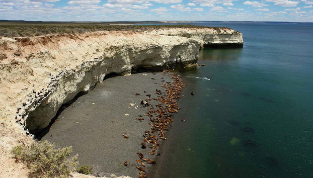 Punta Loma and Cerro Avanzado Trip - Foto 3