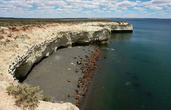 Punta Loma and Cerro Avanzado Trip - Foto 3