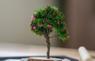 Le Jardin Suspendu - Foto 18