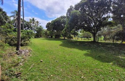 Casa estilo sítio - Foto 1