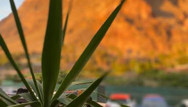 Apartamento Ro-Ro Valle Gran Rey - Foto 3