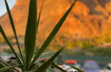 Apartamento Ro-Ro Valle Gran Rey - Foto 3