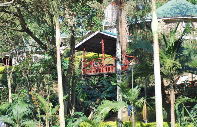 Crater Bay Cottages - Photo 54