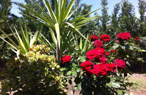 Mini Villas Green - Foto 39