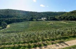 Masia Heredad La Boquilla - Foto 93