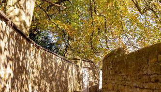 The Hayloft - Photo 2