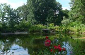 Forellenhof - Foto 24