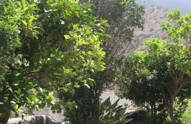 Casas Rurales Hermigua - Foto 32