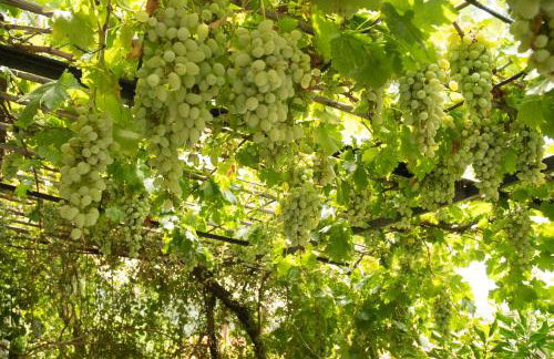 Panorama of Deep Blue - Foto 21