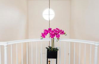 Vineyard estate with pool and amazing views - Photo 50