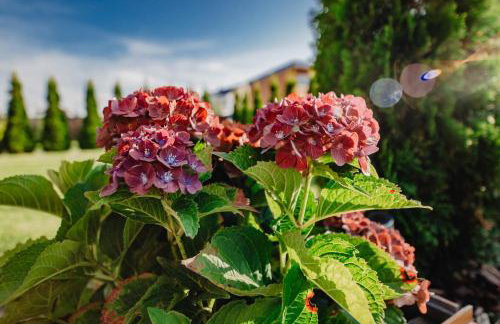 Dwa Brzegi - Foto 23